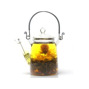 Blooming Teapot - Clear Glass Teapot for Flowering Tea