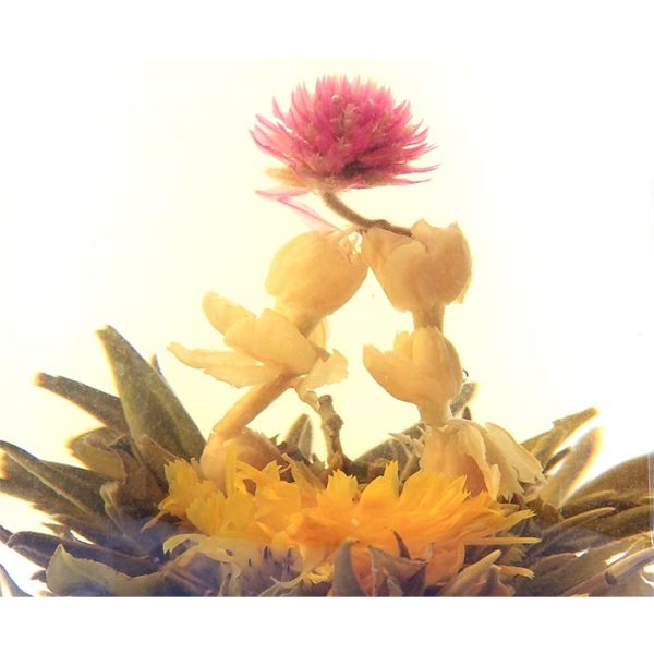 'Dance of Dragons' Jasmine Blooming Tea with Globe Amaranth, Marigold - Image 2