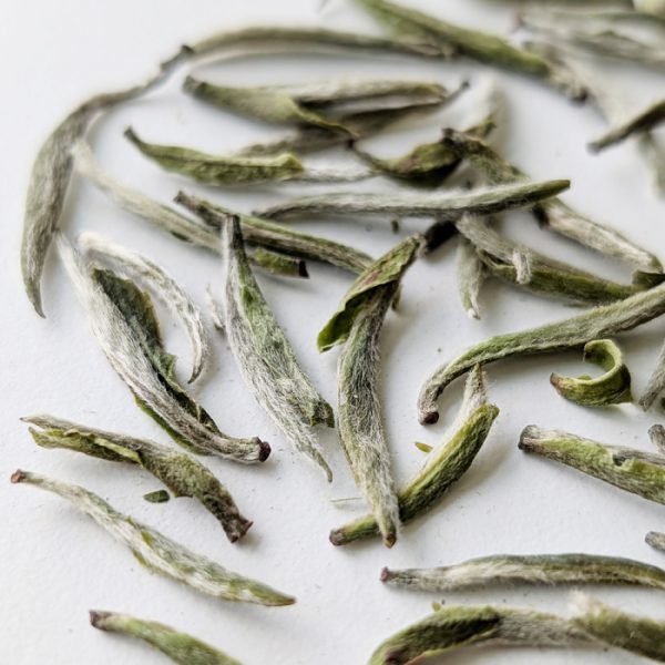 Fujian Silver Needle White Tea - Image 2