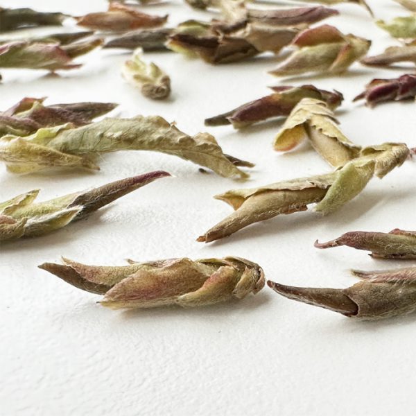 Wild Purple Yabao Tea, Da Xue Mountain - Image 3
