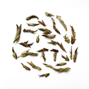 Wild Purple Yabao Tea, Da Xue Mountain