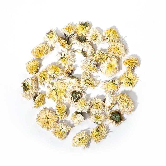 white_chrysanthemum